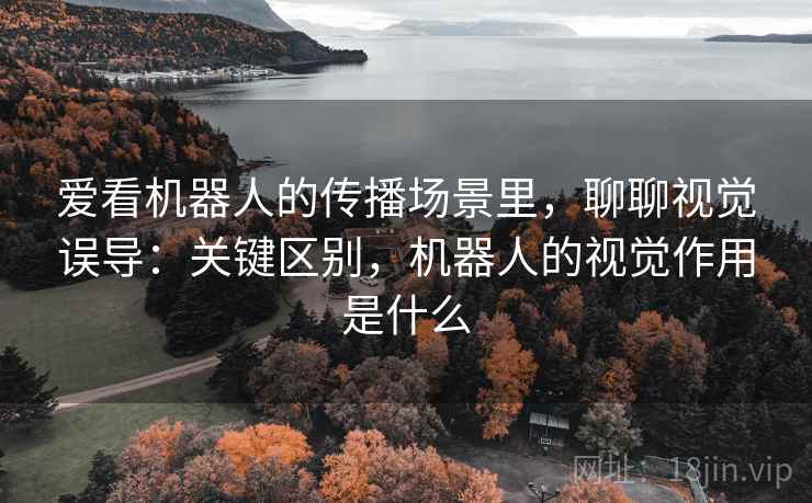 爱看机器人的传播场景里，聊聊视觉误导：关键区别，机器人的视觉作用是什么