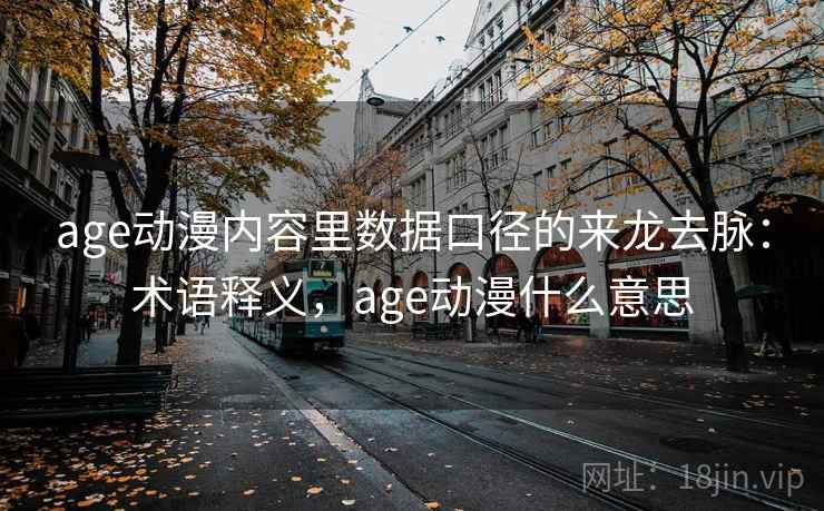 age动漫内容里数据口径的来龙去脉：术语释义，age动漫什么意思