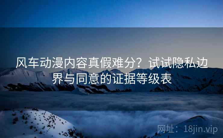 风车动漫内容真假难分？试试隐私边界与同意的证据等级表