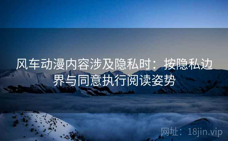 风车动漫内容涉及隐私时：按隐私边界与同意执行阅读姿势