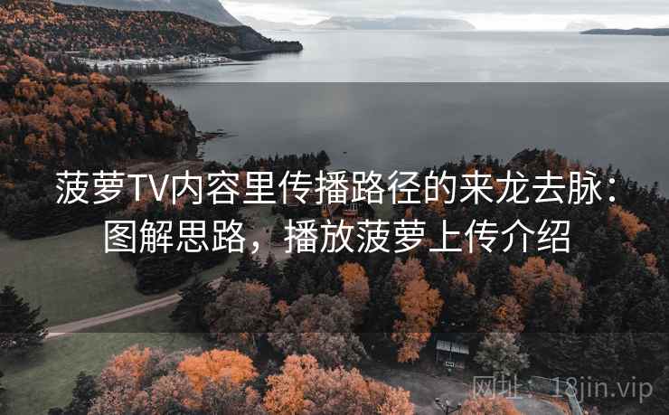 菠萝TV内容里传播路径的来龙去脉：图解思路，播放菠萝上传介绍