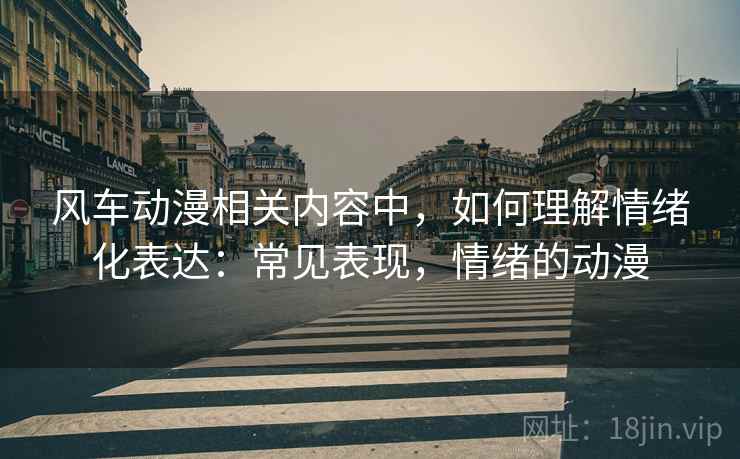 风车动漫相关内容中，如何理解情绪化表达：常见表现，情绪的动漫